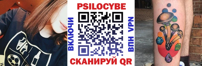 блэк спрут ссылки  Рошаль  Псилоцибиновые грибы Magic Shrooms  где продают наркотики 
